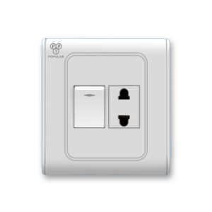 1 Gang 1 Socket 1