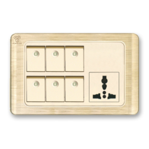 6 Gand Switch Indicator MF Socket