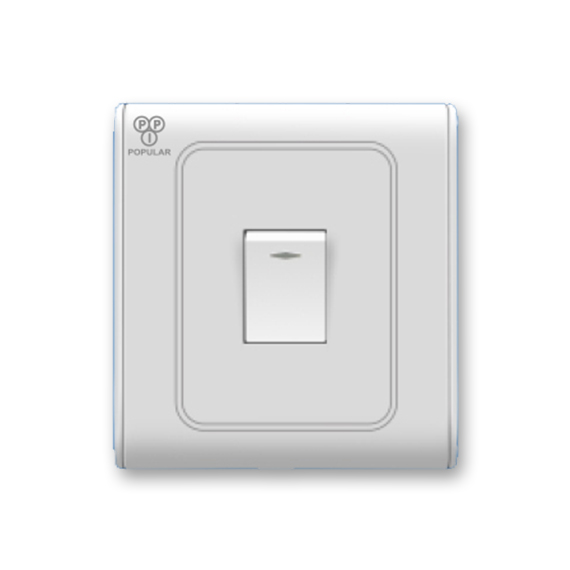 1 Gang 1 way Switch 1