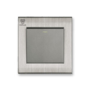 1 Gang 1 way Switch 2