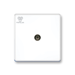 Single Television Socket