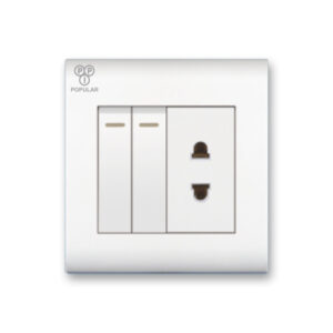 2 Gang 1 Socket 3