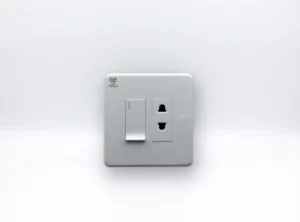1 Switch & 1 Socket