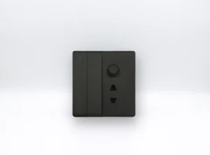 2 Switch & 1 Socket & Fan Dimmer