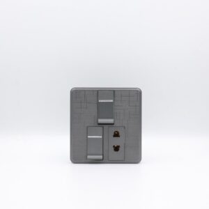 2 Switch & 1 Socket