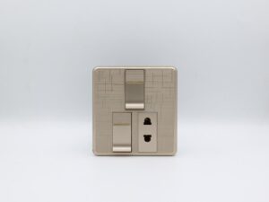 2 Switch & 1 Socket