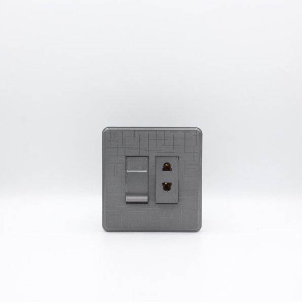 1 Switch & 1 Socket – PPI