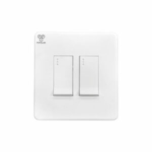 2 Gang Switch