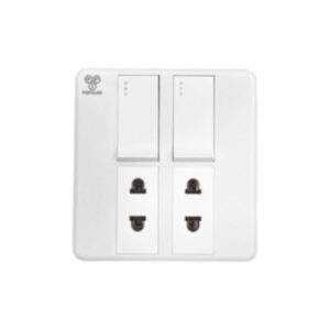 2 Switch & 2 Socket