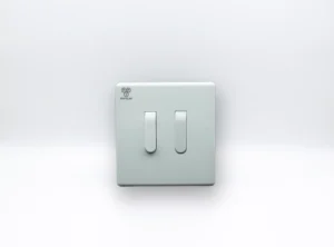 2 Gang Switch
