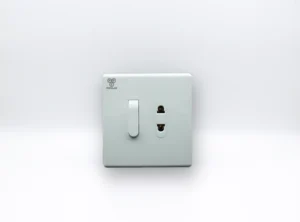 1 Switch & 1 Socket