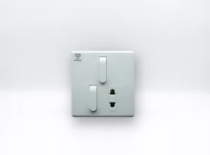 2 Switch & 1 Socket