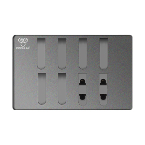 6 Switch & 2 Socket