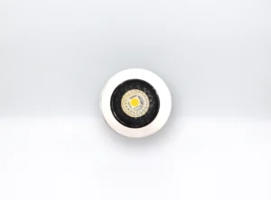 1W COB Spotlight (Black and White)