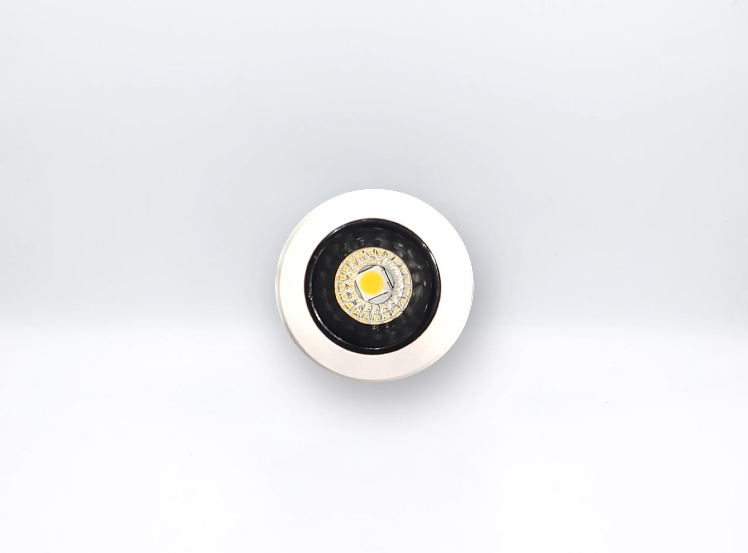 1W COB Spotlight (Black and White)