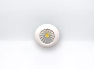 1W COB Spotlight (Super White)