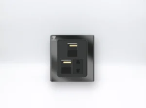 2 Gang 1 Socket