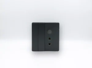 2 Switch & 1 Socket & 1 Deamer