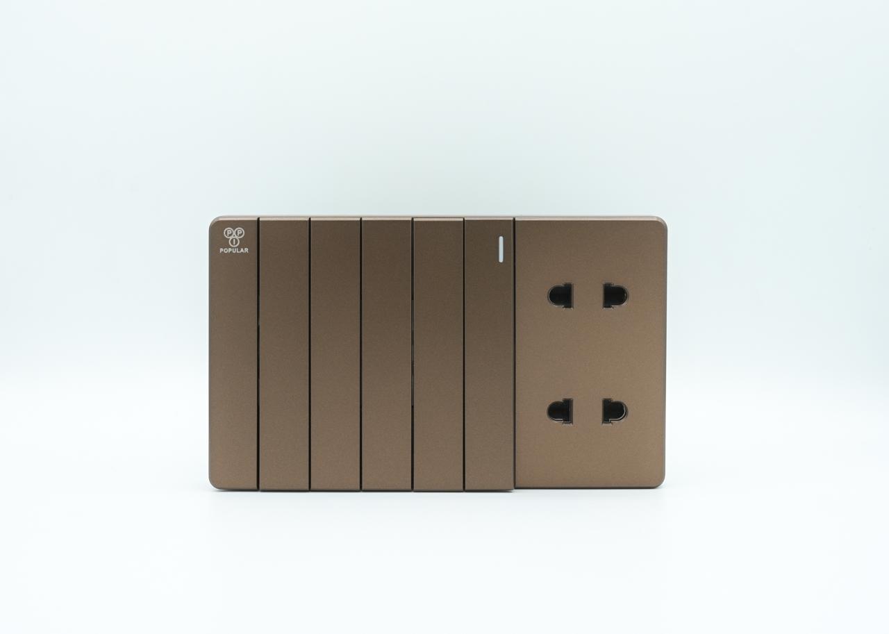 6 Switch & 2 Socket